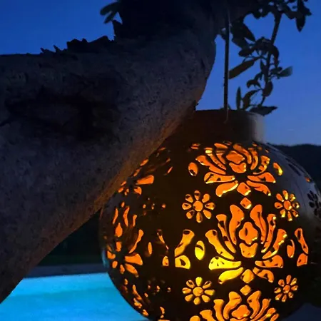 La Jacaranda Villa