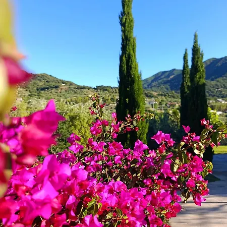 Villa La Jacaranda *