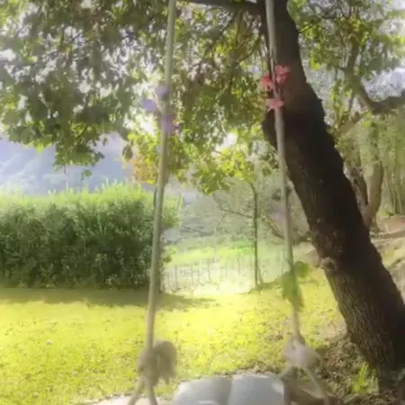 La Jacaranda * Soccorso