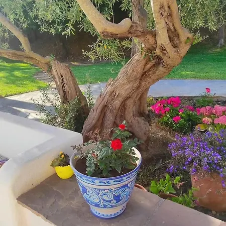 La Jacaranda Villa