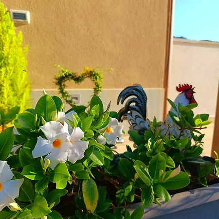 La Jacaranda Villa Soccorso