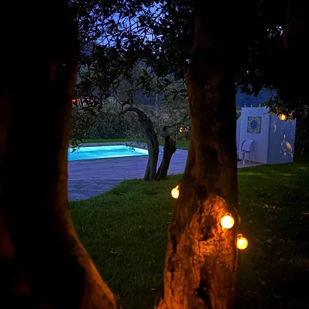 Villa La Jacaranda